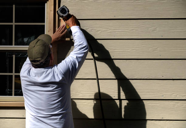 Best Insulated Siding Installation  in Stuart, IA