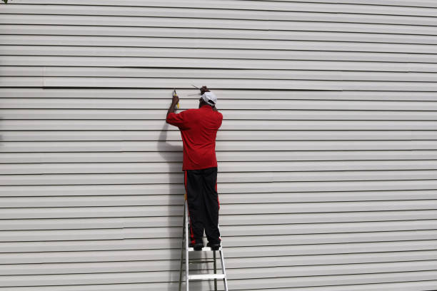 Best Steel Siding Installation  in Stuart, IA